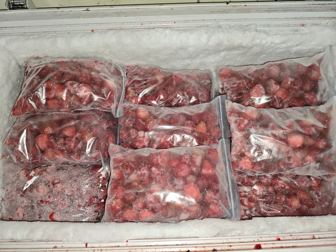 Strawberry Harvest